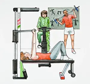 Lying On Back Prints: Illustration of people exercising in gym using strength training bench