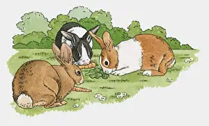 Carrot Prints: Illustration of pet rabbits eating carrots and lettuce leaf on grass in garden