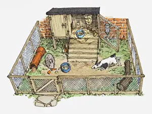 Pets Prints: Illustration of pet rabbits in wire enclosure showing hutch