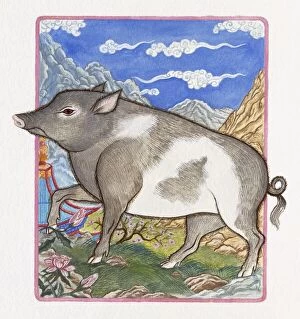 Illustration of Pig Passing By, representing Chinese Year Of The Pig