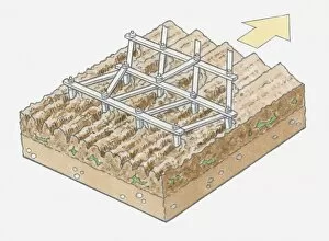 Illustration of ploughing soil using harrow