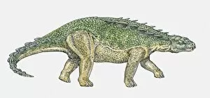 Images Dated 15th February 2010: Illustration of Polacanthus ankylosaur dinosaur