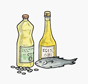 Illustration of polyunsaturated fat sources in bottles of oil, oily fish, and sunflower seeds