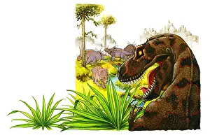 Mouth Open Prints: Illustration of predatory Tyrannosaurus Rex looking aggressively at herd of herbivorous ceratopsid Triceratops
