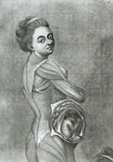Illustration of Pregnant Woman