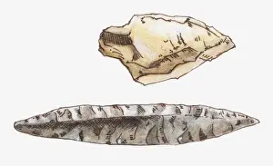 Work Tool Prints: Illustration of prehistoric stone tools and weapons