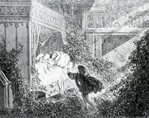 Tunic Prints: Illustration of the Prince Discovering Sleeping Beauty by Gustave Dore