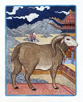 The Zodiac Prints: Illustration of Prosperous Lamb representing Chinese Year Of The Ram