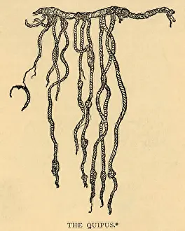 Knot Prints: Illustration of a Quipu, a Peruvian Calculating Device