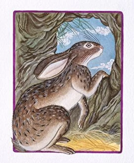 Images Dated 26th August 2009: Illustration of Rabbit in the Burrow, representing Chinese Year Of The Rabbit