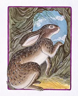 Astrology Prints: Illustration of Rabbit in the Burrow, representing Chinese Year Of The Rabbit