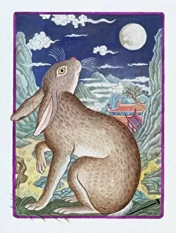 Animal Representation Collection: Illustration of Rabbit Looking at the Moon, representing Chinese Year Of The Rabbit