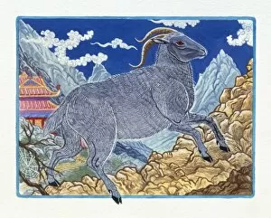 Images Dated 27th August 2009: Illustration Ram Running on the Mountain, representing Chinese Year Of The Ram