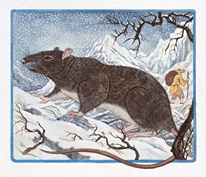 Traditionally Chinese Prints: Illustration of Rat on the Mountain, representing Chinese Year Of The Rat