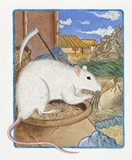 The Zodiac Prints: Illustration of Rat in the Warehouse, representing Chinese Year Of The Rat