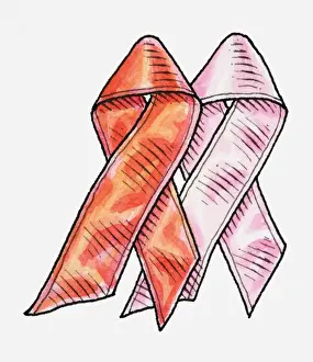 Ribbon Sewing Item Prints: Illustration of red and pink ribbons