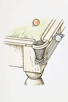 Illustration of red snooker ball on table and blue blue on rail near pocket