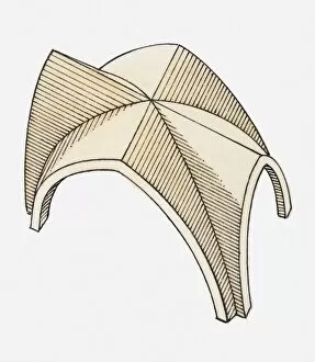 Illustration of a rib vault