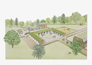 Pasture Prints: Illustration of riding stables