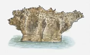 Images Dated 25th March 2010: Illustration of rock formation found on northern coast of Kenya