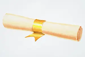 Rolled Up Prints: Illustration, rolled paper scroll tied with gold ribbon