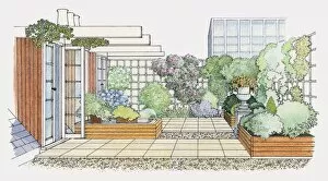 Images Dated 26th February 2010: Illustration of a roof garden with water feature, raised flowerbeds, and trellises