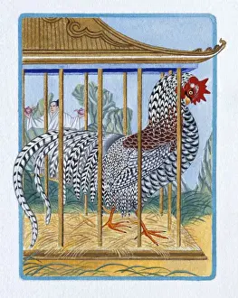 Male Likeness Prints: Illustration of Rooster in the Cage, representing Chinese Year Of The Rooster
