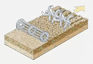 Images Dated 14th April 2010: Illustration of rotary cultivator