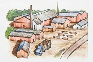 Illustration of rural factory farm buildings and semi-truck