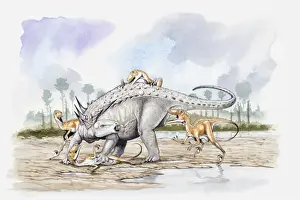 Pack Prints: Illustration of a Sauropelta under attack by a pack of Deinonychus theropod dinosaurs