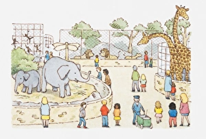 Visit Collection: Illustration of a scene in a zoo