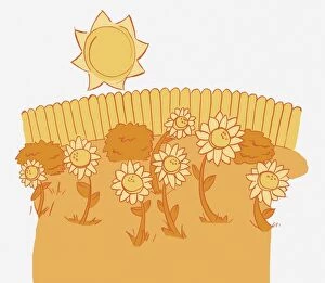 Illustration in shades of yellow, seven sunflowers and three bushes, fence in background, sun shining overhead