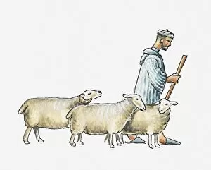Images Dated 15th December 2011: Illustration of a shepherd and three sheep