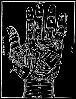Lines Prints: Illustration Showing Lines Of The Hand