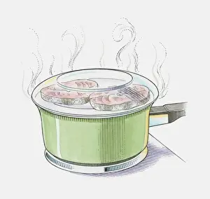 Preparation Prints: Illustration showing salmon steaks steaming in saucepan with glass lid on top