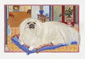 Illustration of Sleepy Dog, representing Chinese Year Of The Dog
