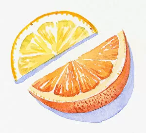 Images Dated 10th November 2008: Illustration of slices of orange and lemon