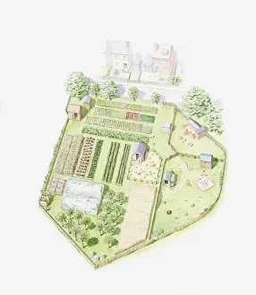 Illustration of a small home farm, showing land divided up to farm crops and livestock