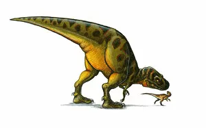 Illustration of small Hypsilophodon dinosaur looking up over shoulder at large bipedal dinosaur looking down ominously
