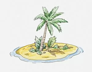 Images Dated 14th April 2010: Illustration of small island with single palm tree on it