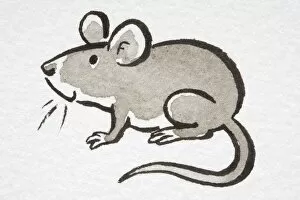 Images Dated 14th August 2006: Illustration, smiling House Mouse (Mus musculus), side view