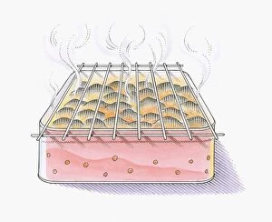Images Dated 1st October 2009: illustration of smoke rising from burning embers on garbecue grill