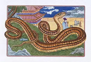 The Zodiac Prints: Illustration of Snake on the Grass, representing Chinese Year Of The Snake
