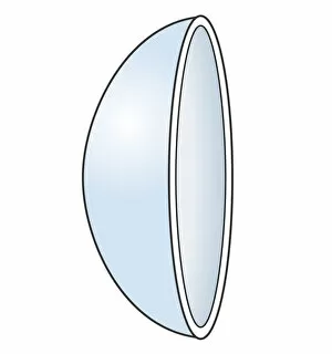 Images Dated 24th October 2011: Illustration of soft contact lens