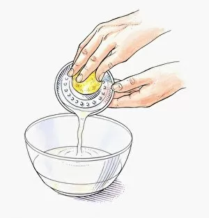 Illustration of squeezing lemon juice using a juicer