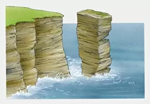 Illustration of stack, vertical columns of rock in sea and on coastline