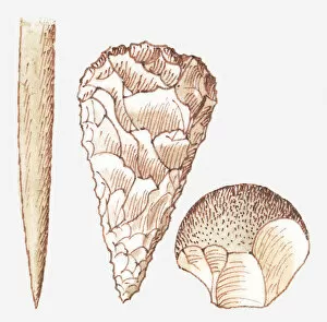 Images Dated 4th July 2011: Illustration of Stone Age tools and weapons