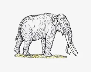 Elephant Prints: Illustration of Straight-tusked Elephant (Palaeoloxodon antiquus) from Pleistocene epoch