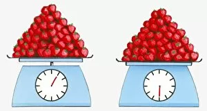 Images Dated 14th November 2008: Illustration of same amount of strawberries on scales showing contrasting weights