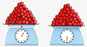 Heap Prints: Illustration of same amount of strawberries on scales showing contrasting weights